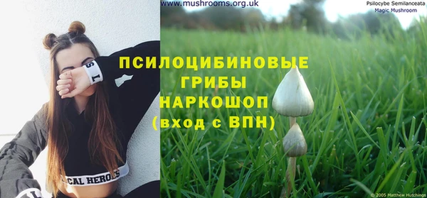соль курить ск Осинники