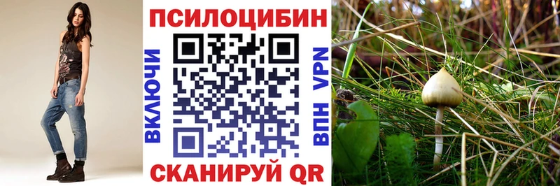 Галлюциногенные грибы Psilocybine cubensis  Бугуруслан 