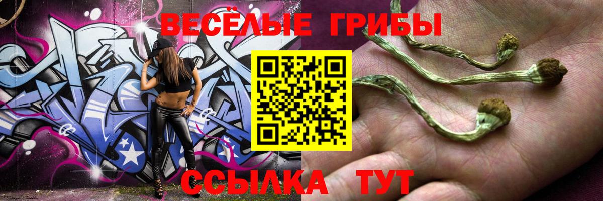 Бугуруслан  Псилоцибиновые грибы Psilocybine cubensis  наркотики  Вход с VPN  Галлюциногенные грибы Psilocybe 